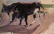 Joaquin Sorolla, Bull Project